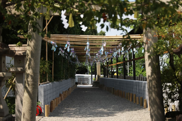 涼風の参道のようす